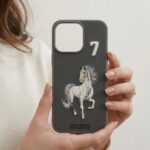 iphone 15 pro max-case